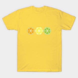 Citrus Hexagon Slices T-Shirt